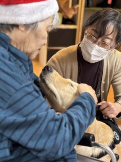 動物とのふれあい